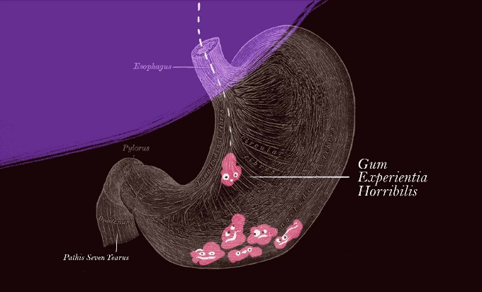 An anatomically correct stomach with smiling pieces of chewing gum in the bottom of the stomach.