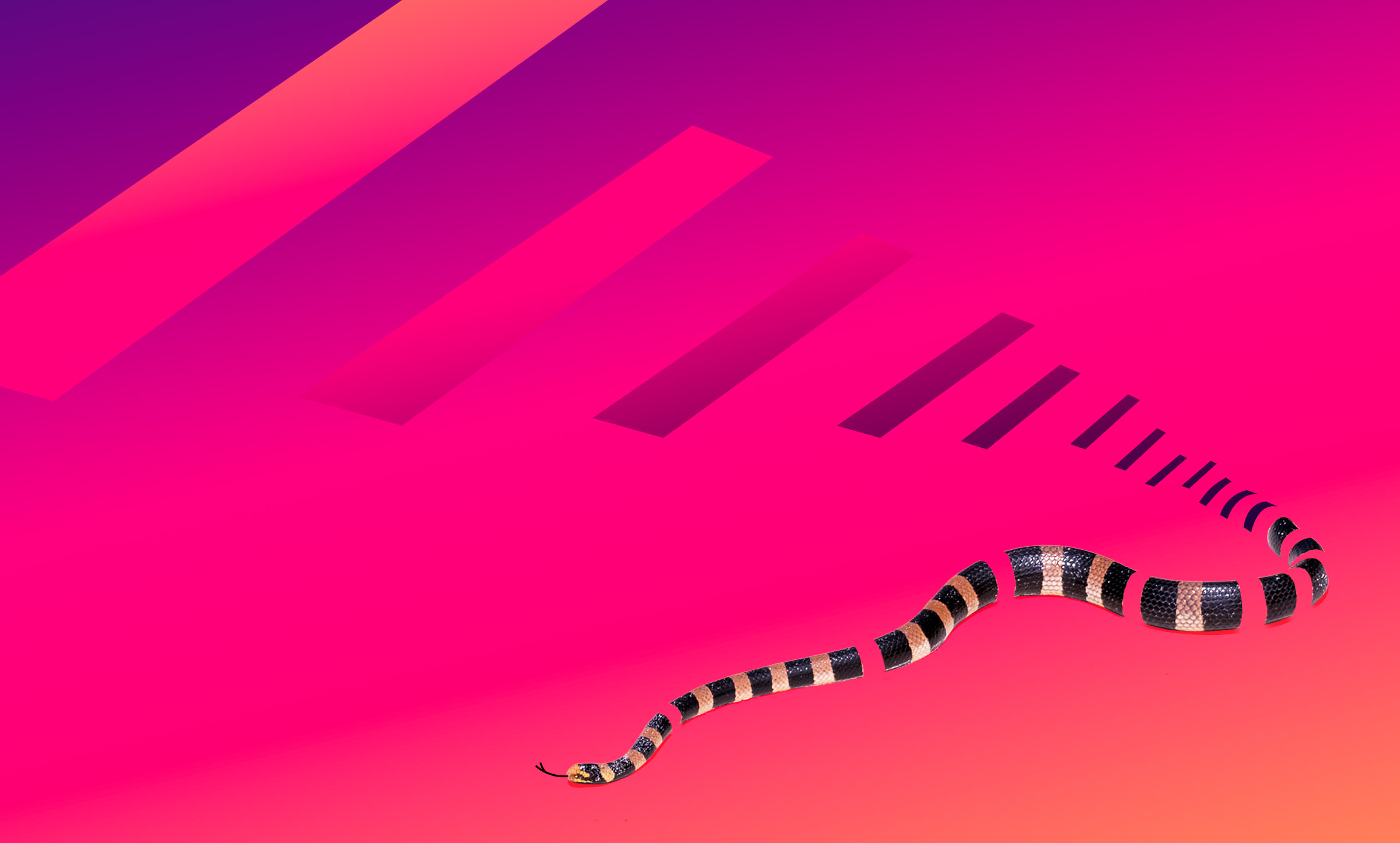 Abstract rungs that shape a ladder. The ladder goes up and then down as it turns into a snake.