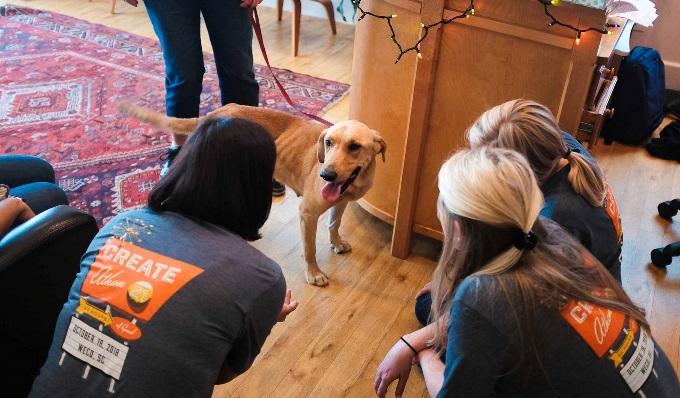 A brown dog in the middle of an office space while people crouch next to it, trying to pet the dog.