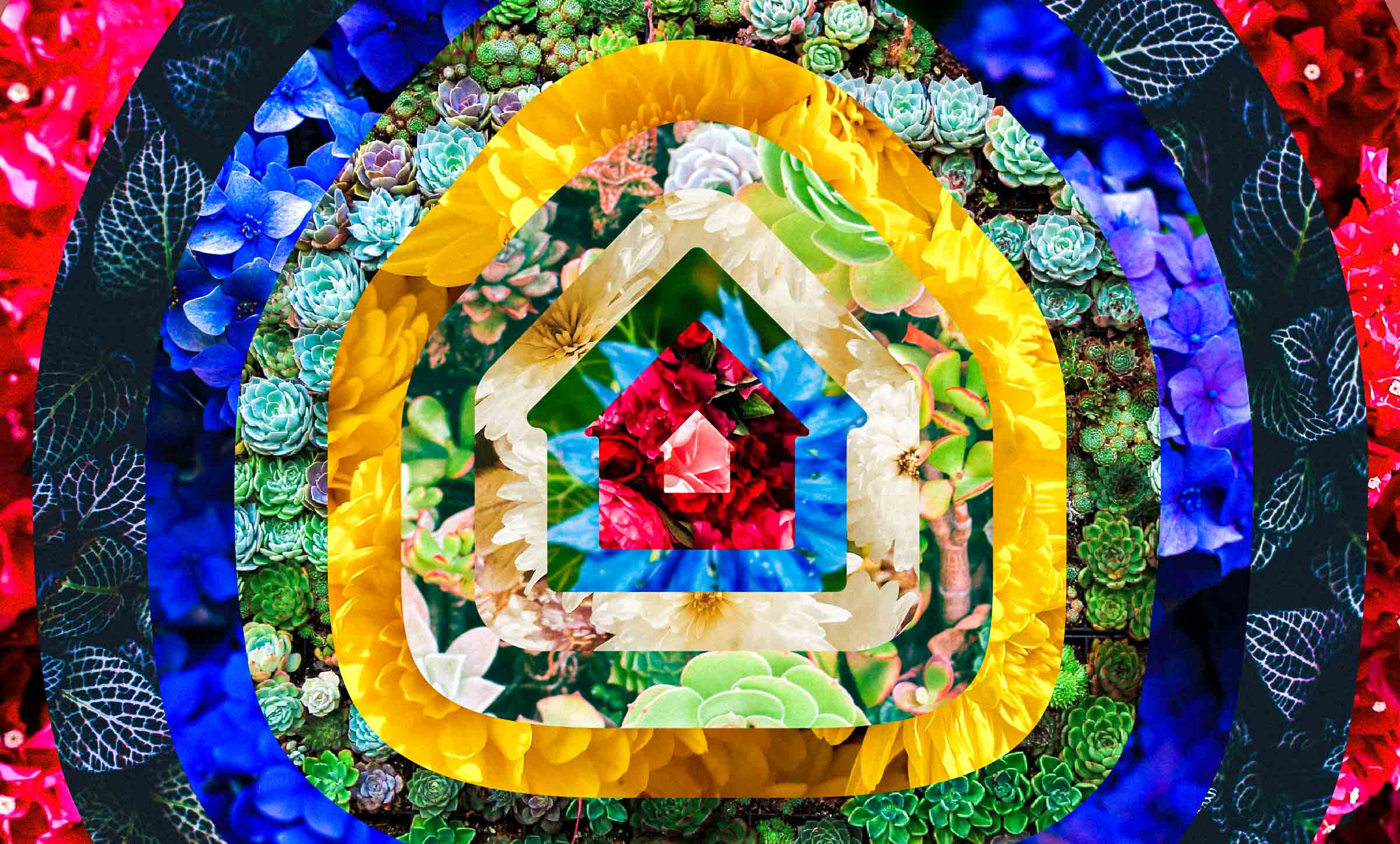 A graphic showing a home icon radiating out in colorful rings over a field of flowers that conveys harmony in difference, the potential for abundant growth, and a sense of security.