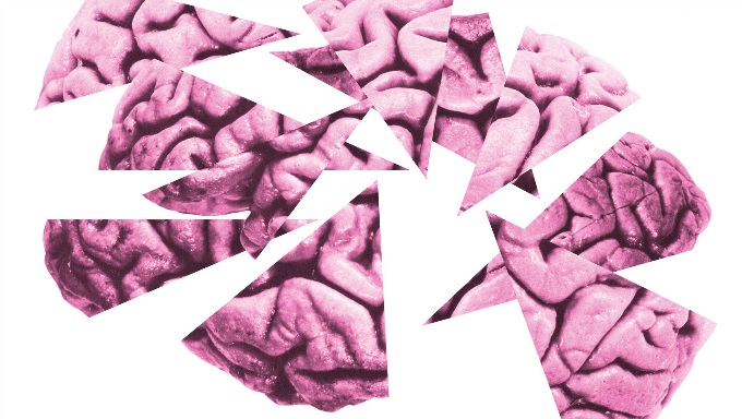 A white background with a pink brain broken into a lot of little pieces.