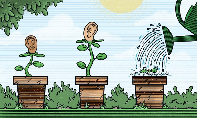A row of potted plants growing ears on a sunny day. One plant is being watered.