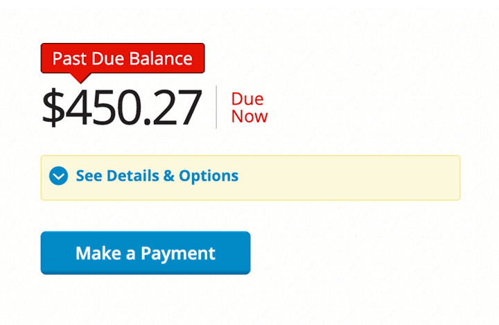 Current balance area showing $450.27 with a red Past Due Balance flag and red text show that it's Due Now. Below, a button to Make a Payment and a text link for My Payment History.