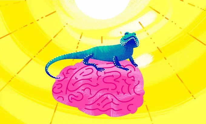 A yellow, sunny background. A blue lizard sits on top of a pink brain and smiles skyward.