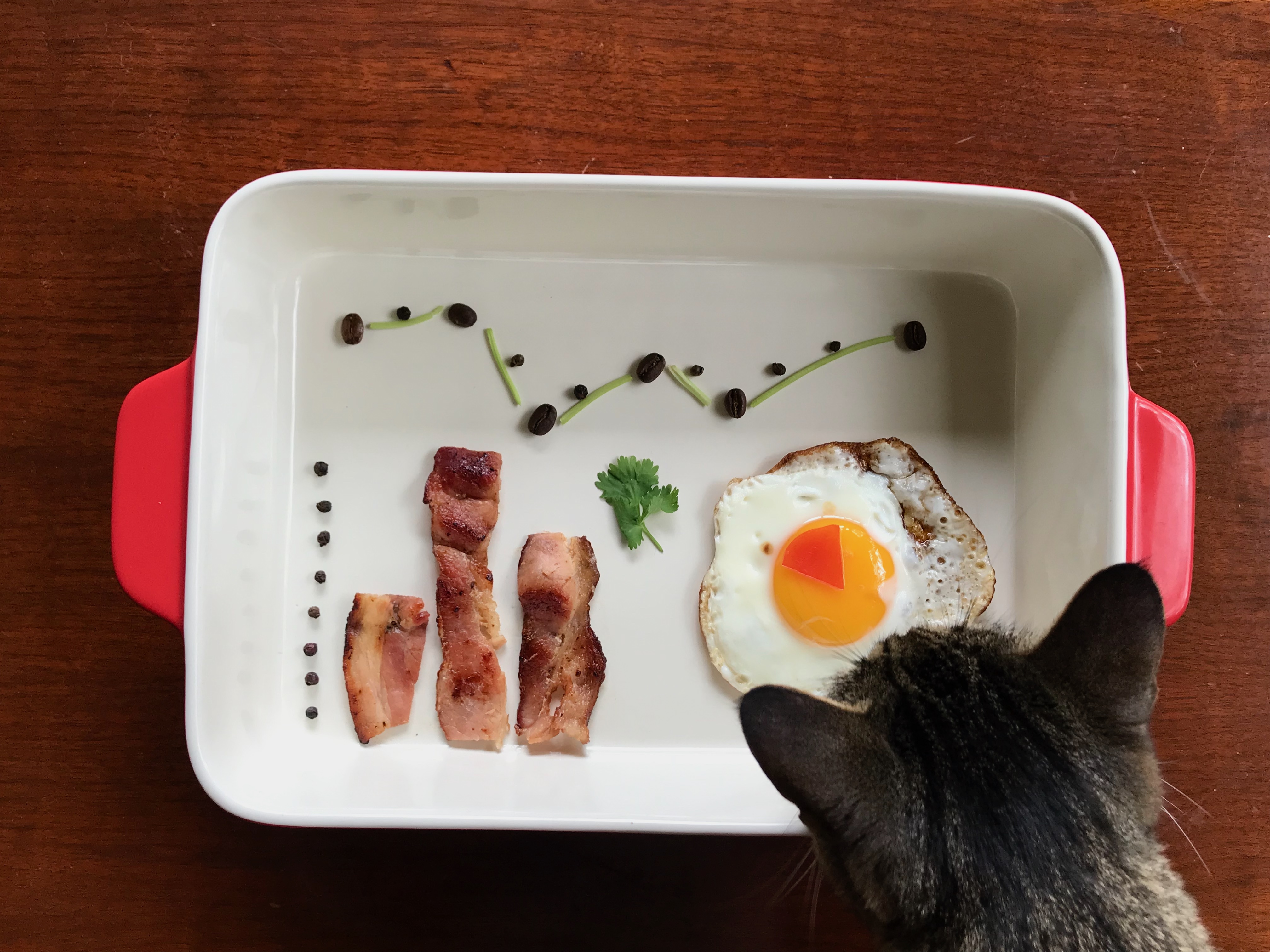 A casserole dish with bacon, an over-easy egg, and a trail of raisins designed to look like different types of graphs. A cat looks in the dish.